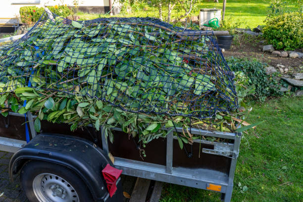 Recycling Services for Junk in Carson City, NV